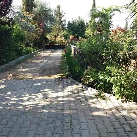 Atalanti