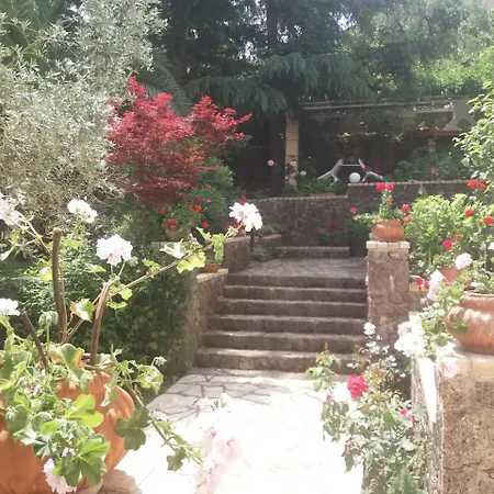 Atalanti